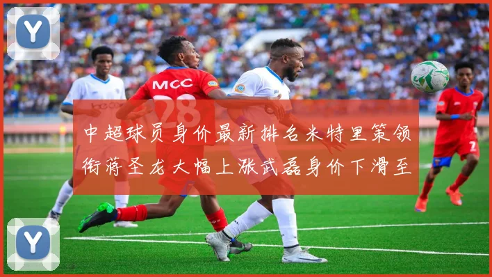 中超球员身价最新排名米特里策领衔蒋圣龙大幅上涨武磊身价下滑至50万