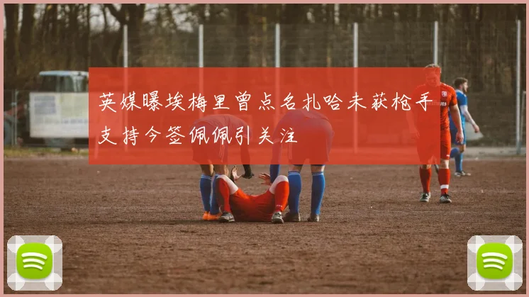 英媒曝埃梅里曾点名扎哈未获枪手支持今签佩佩引关注