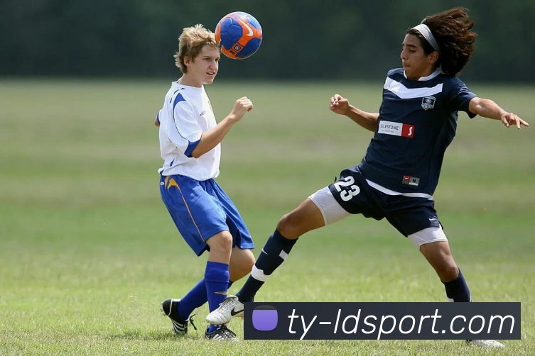 乐动足球平台生态图